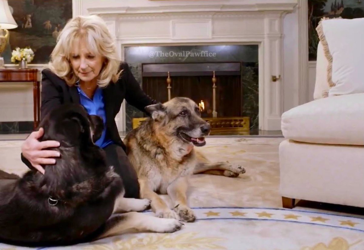 TheOvalPawffice's tweet photo. 🐾Twinkle, twinkle, little star
🐾We’ve got the best parents, by far! https://t.co/1lZOwG1In9