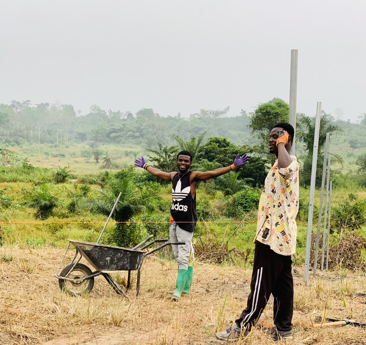 amponsemtwumm's tweet photo. #Farming is not just a job, it's a way of life. Strength to all youth in sustainable #agriculture. At @gayoghana, our focus is to restore ecological heath &amp; cultural values to our broken #FoodSystems for #ClinateAction.
#FarmerProtest #Youth4Climate https://t.co/c6RArzSCRf