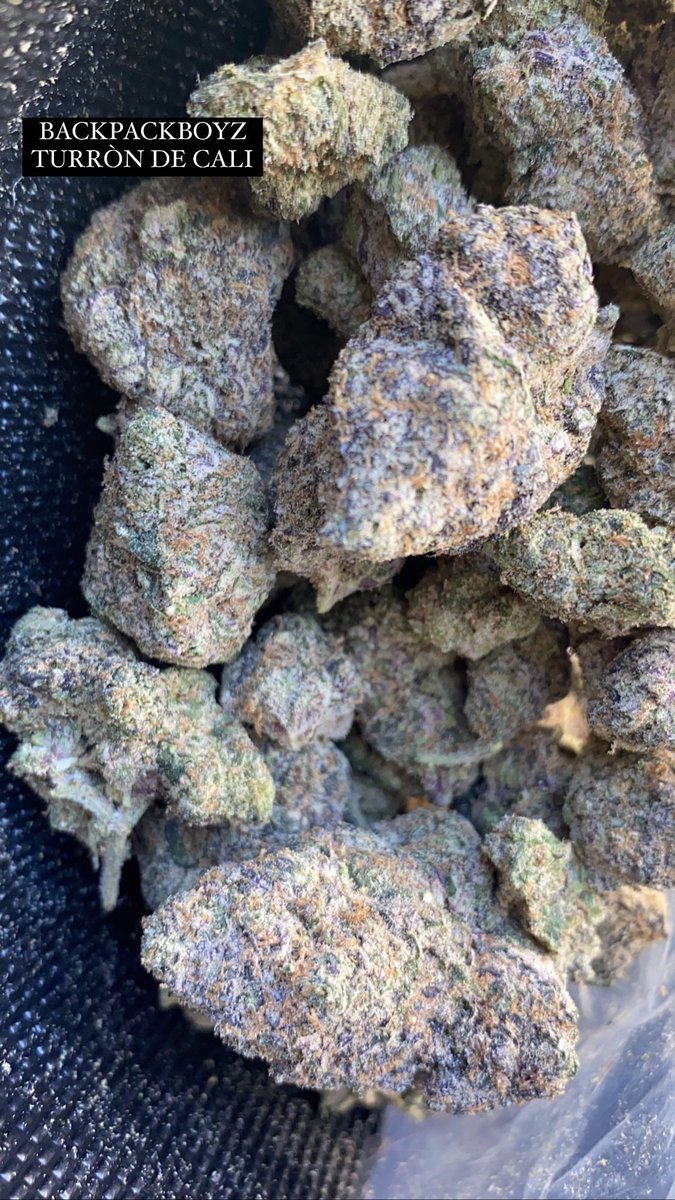 candyshop_407's tweet photo. New drop, come shop ⛽️ 😌
#orlandoweed #kissimmeeweed #orlandobud #kissimmeeloud #weedorlando #disneyweed
#orlandotrees #orlandogas #orlandoexotics
#universalweed #orlando420 #ucfweed #orlandoweed #orlandopotheads #orlandoweedlife #orlandoweedman #orlandotrees #orlandoplug https://t.co/pRCnKHsq54
