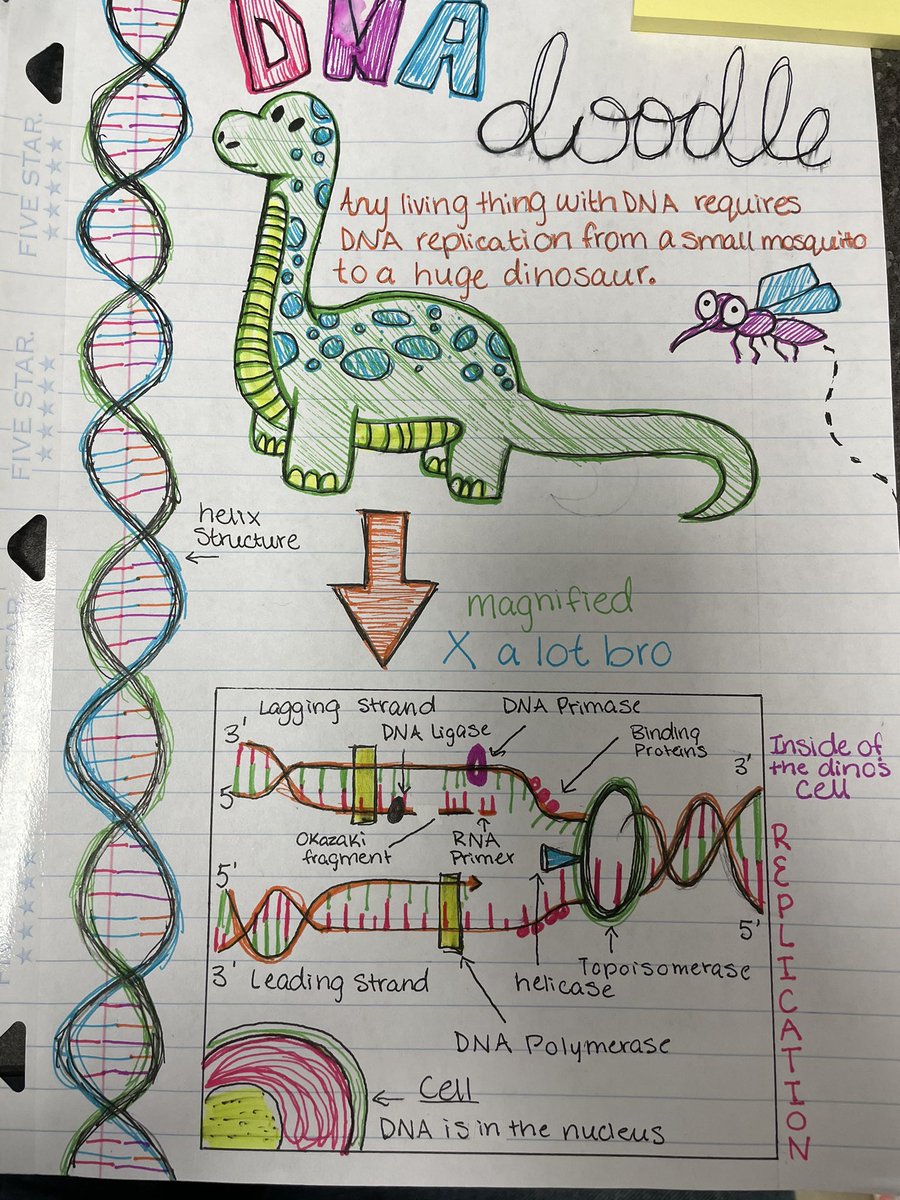 JDumboski's tweet photo. Meanwhile, in AP Bio, I have students showing off their art skills! https://t.co/dR4ifRqcJQ