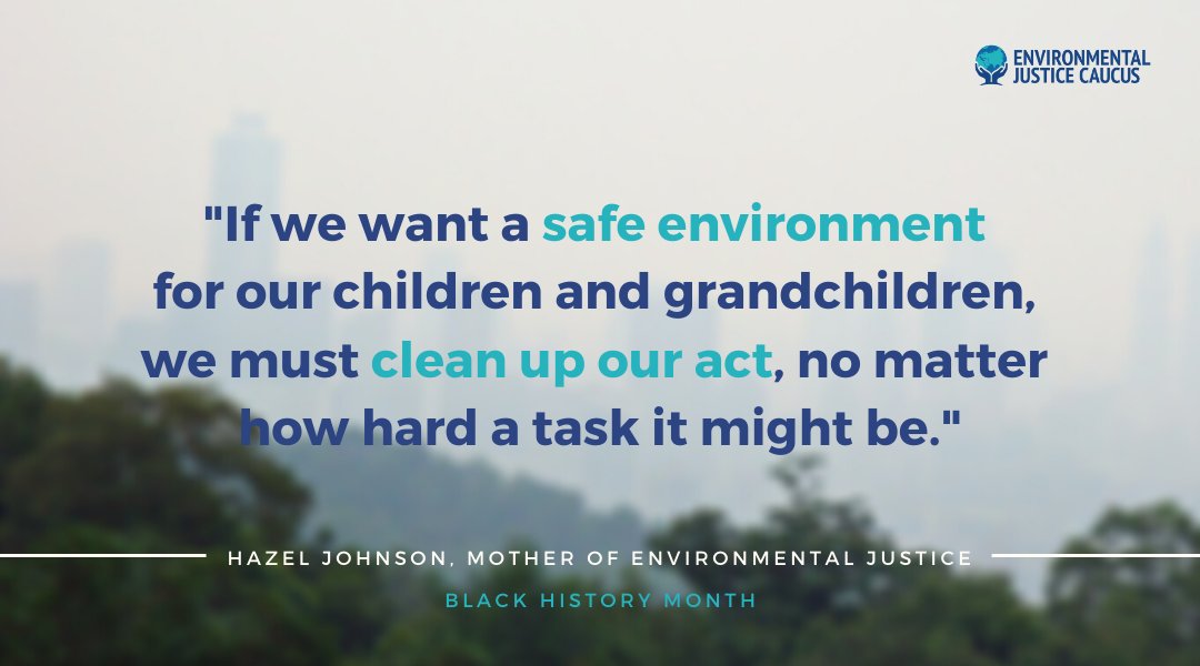 SenatorBaldwin's tweet photo. Every American has the right to breathe clean air, drink safe water and live on uncontaminated land—no matter their zip code or the color of their skin. This #BlackHistoryMonth, we must take bold, swift action on #EnvironmentalJustice. https://t.co/RZ9nEBaEmh