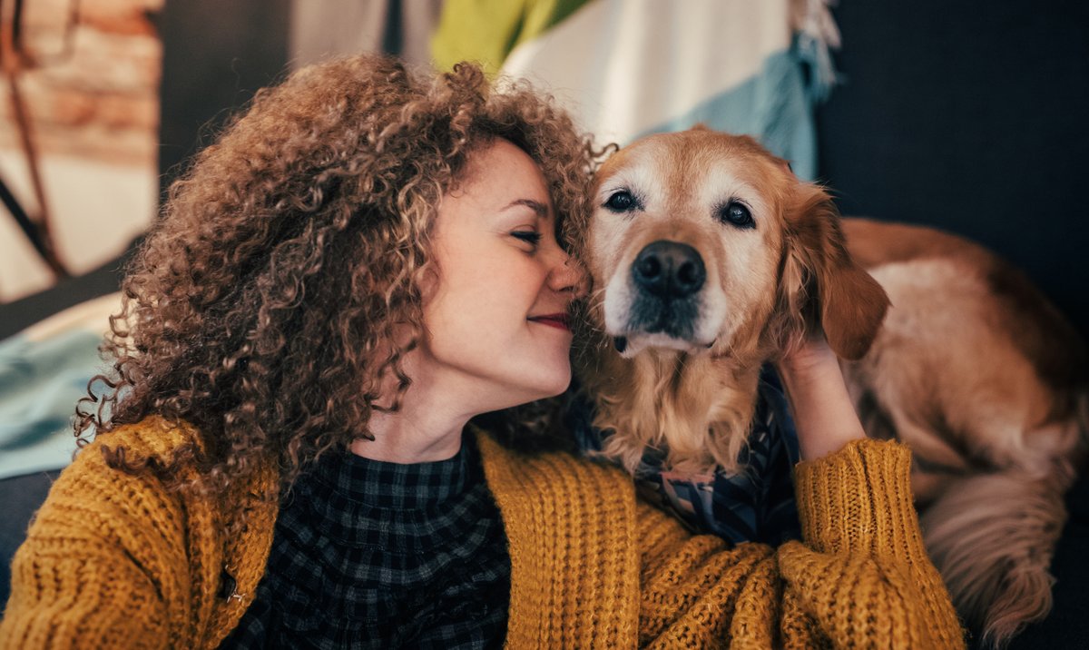 Have a nice weekend with your furry friends everyone!

#FurryFriday #DogsOfTwitter