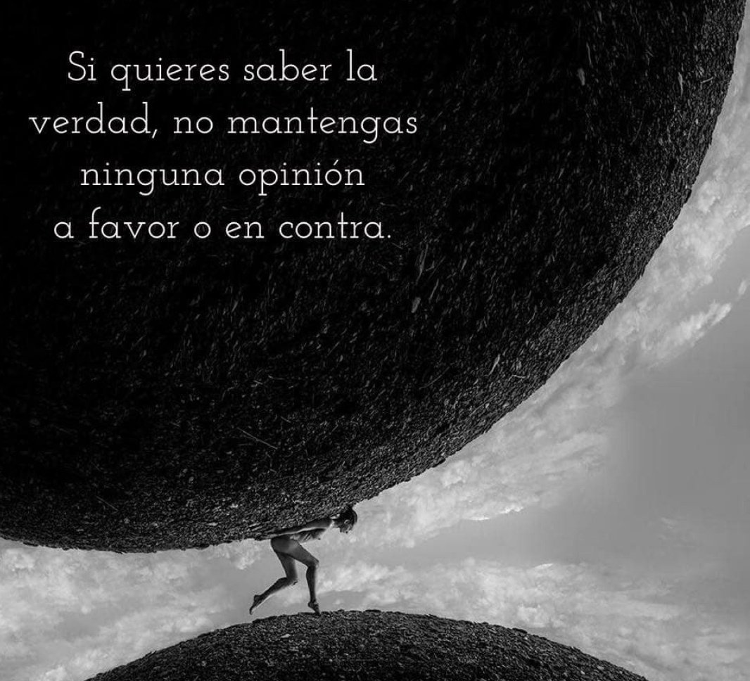 David Felgueroso tweet media