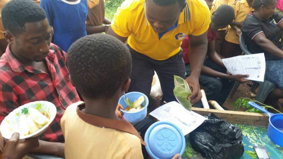 TreeGhana's tweet image. Justice Cudjoe of Tree Solutions Ghana, with beneficiary pupils of the Moringa Nutrition project, one of the initiatives by the organisation.
#sustainableliving #ZeroHunger #feedthechildren #organicfarming #HealthyLiving #Moringa #plantbased #Ghana #Africa