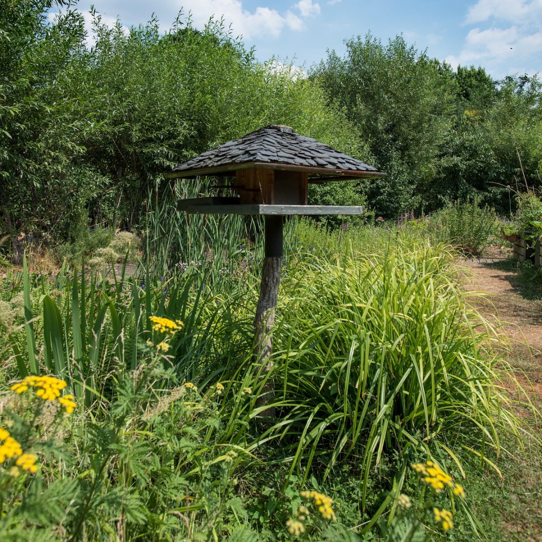 LaVillette's tweet photo. #Surleparc Jardiner en plein à Paris, c'est possible ! Les Jardins passagers de La Villette regroupent de nombreux aménagements comme des tables de jardinage, des bacs à compost ou des parcelles cultivables. Prenez la main verte grâce aux nombreux ateliers.
© @brunodelamain https://t.co/aHrQm9wUxg