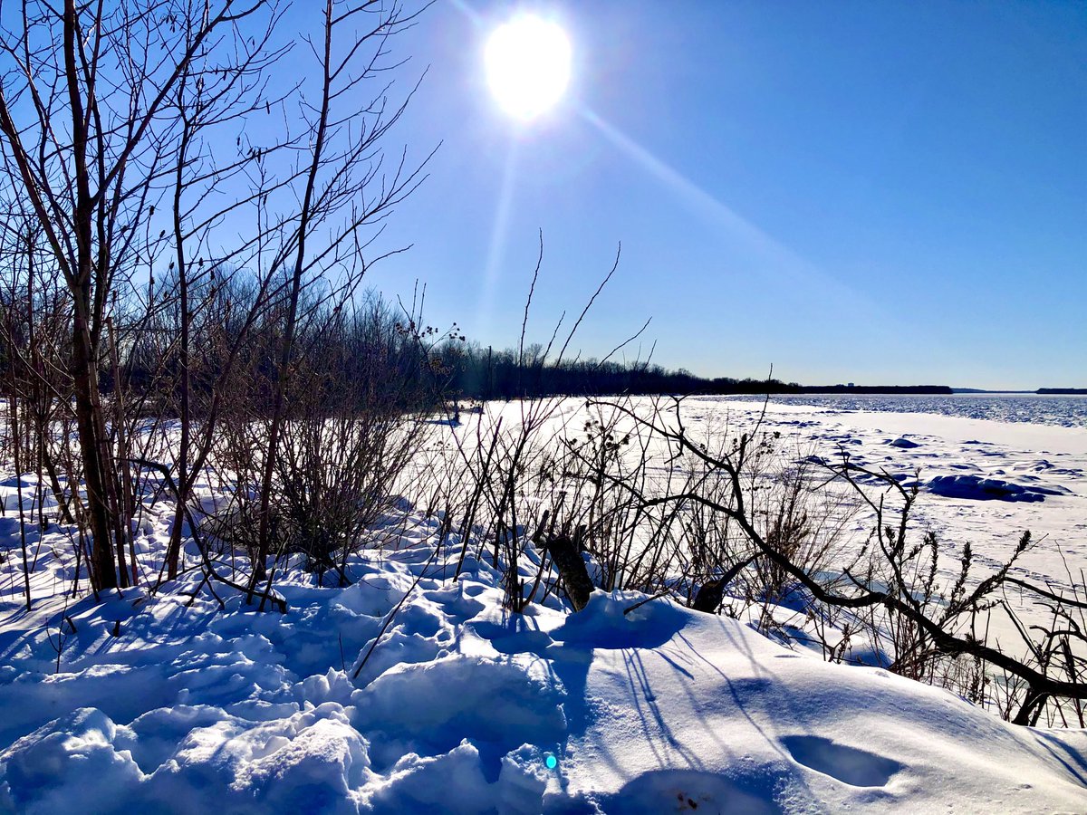 ⁦@Ottawa_Tourism⁩ Beauty day walking on the bays at Petrie Island, where we’d normally kayak, is always fun. #theviewfrommyoffice #tvfmo #photography #nature #sun #winter #Canada #walkonwater #ice #kayak #Petrie #sunnydays #trees #beauty #blueskies 🛶🇨🇦🍁🧊