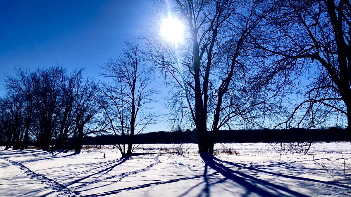 Walking on ice at Petrie Island, where we’d normally kayak is always cool. #theviewfrommyoffice #tvfmo #photography #nature #sun #winter #Canada #walkonwater #ice #kayak #Petrie #sunnydays #trees #beauty #blueskies 🛶🇨🇦🍁🧊