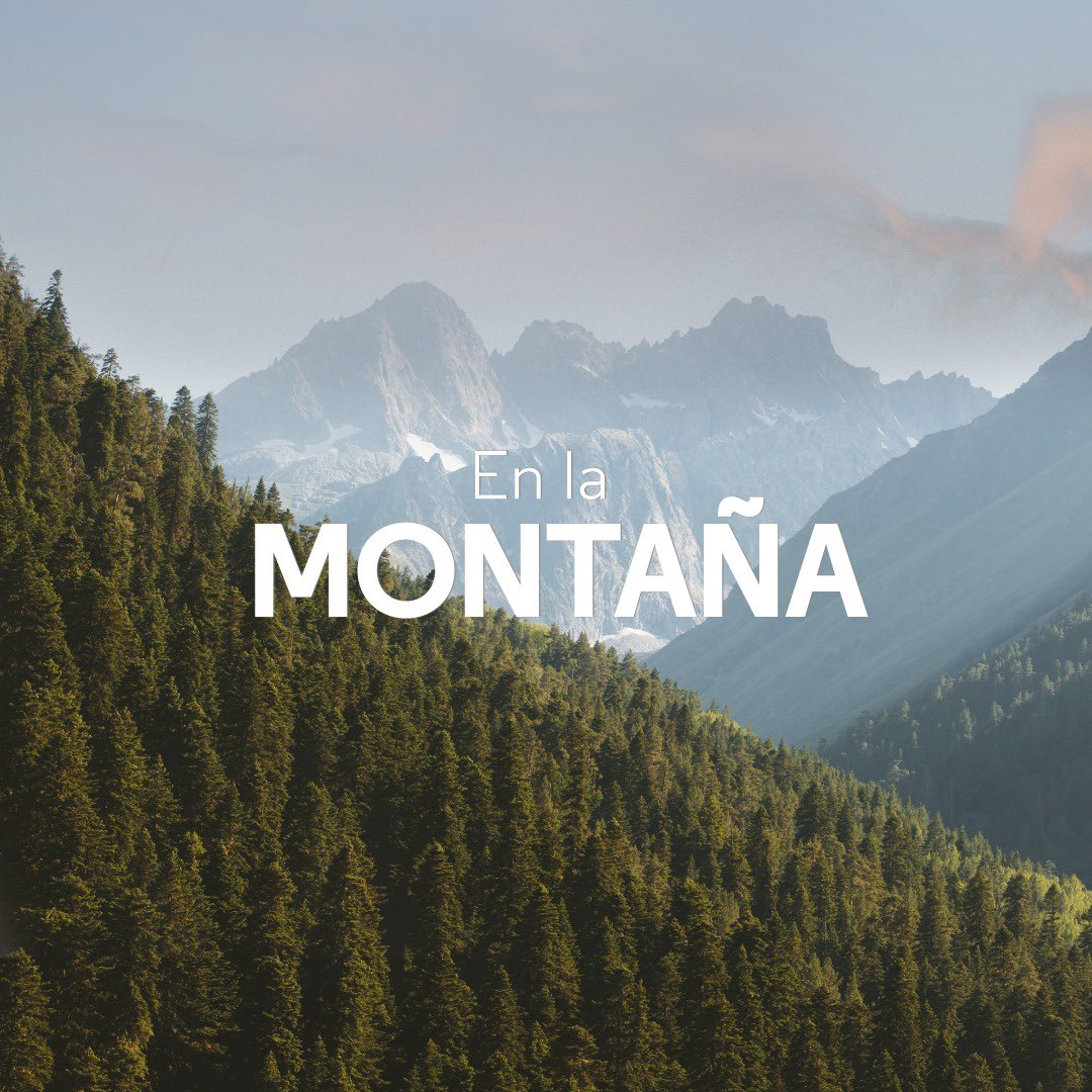 Aerolíneas Argentinas tweet media