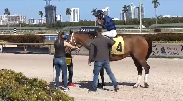 sol_baby_jesus's tweet image. That was a fantastic ride by @LeojockeyReyes 🏇🏆
Moon Pistol missed the break but it didn't matter anyway!
Well done 👏👏👏
#LastToFirst