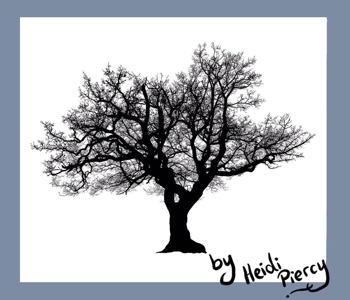 Heidi Piercy tweet media