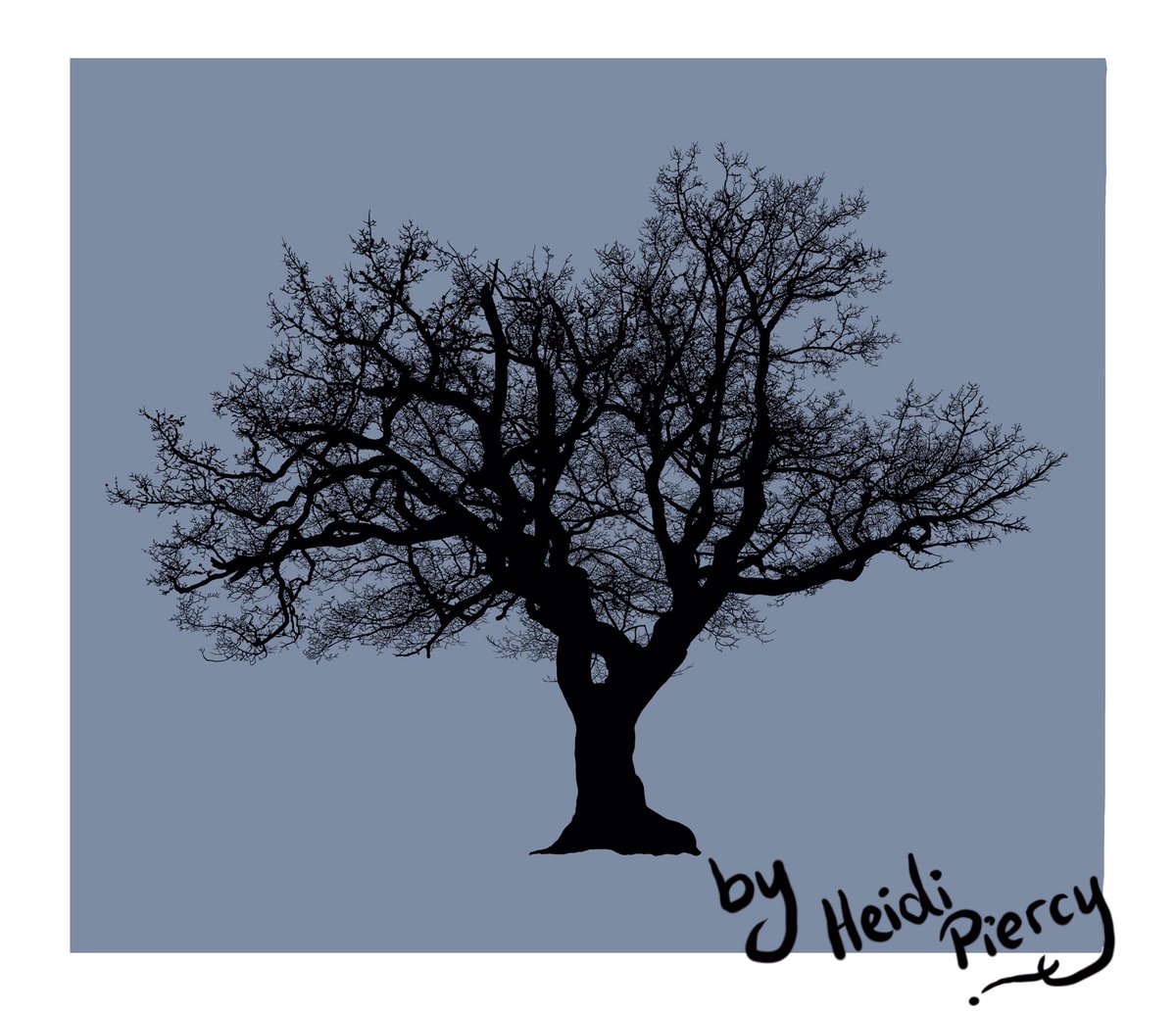 The magnificent old tree at Llandrindod Wells lake (framed with #colour_collective #shadowblue )🌳Anyone know roughly how old this giant is? Even in old photos it still looks exactly the same! heidipiercy.com/product/digita… 🌳