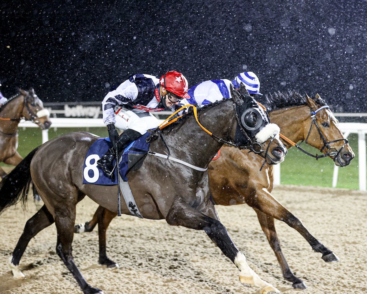 💥 WINNER💥 Storm over wins @NewcastleRaces , gutsy performance , great ride @rowan_49 ! Well done to owner @wezburd , great work from all the team at home especially Kelsi who rides him everyday! #teamworkmakesthedrework #winners #brighteneduparainyday