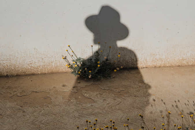 IconCondos's tweet photo. followme -  Shadow of a man sprouting flowers | @LostBoyMemoirs by Ryan Brown | @lostboymemoirs: Shadow of a man sprouting flowers | @LostBoyMemoirs by Ryan Brown | @lostboymemoirs A shadow of a man cast against a wall sprouting wild… https://t.co/2tCspmDFXv followforfollow https://t.co/mKSW35D65x