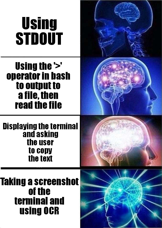 Getting the output of a console app