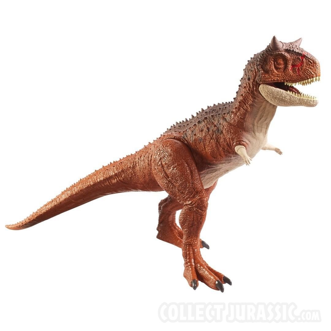 Collect Jurassic Super Colossal Carnotaurus Toro Unveiled Camp Cretaceous S Dinosaur Nemesis Is Joining Mattel S Super Colossal Toy Line Up Later This Year Stay Tuned To Collectjurassic For More Of The Latest