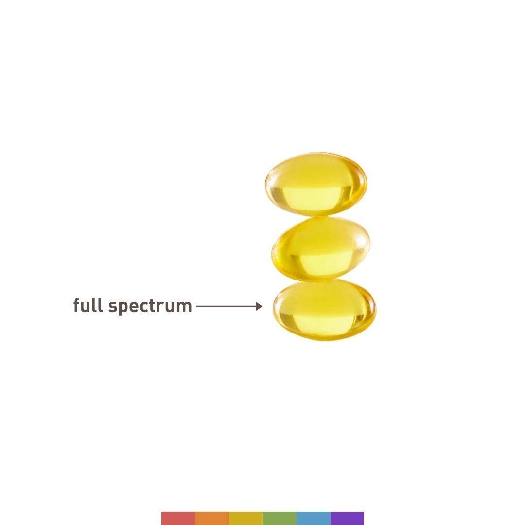 Did you know that Care By Design soft gels are made with full spectrum cannabis oil? They're available in a variety of our popular CBD to THC ratios, including 40:1, 18:1, 4:1, and 1:1. Find your ratio! fal.cn/3ddlz