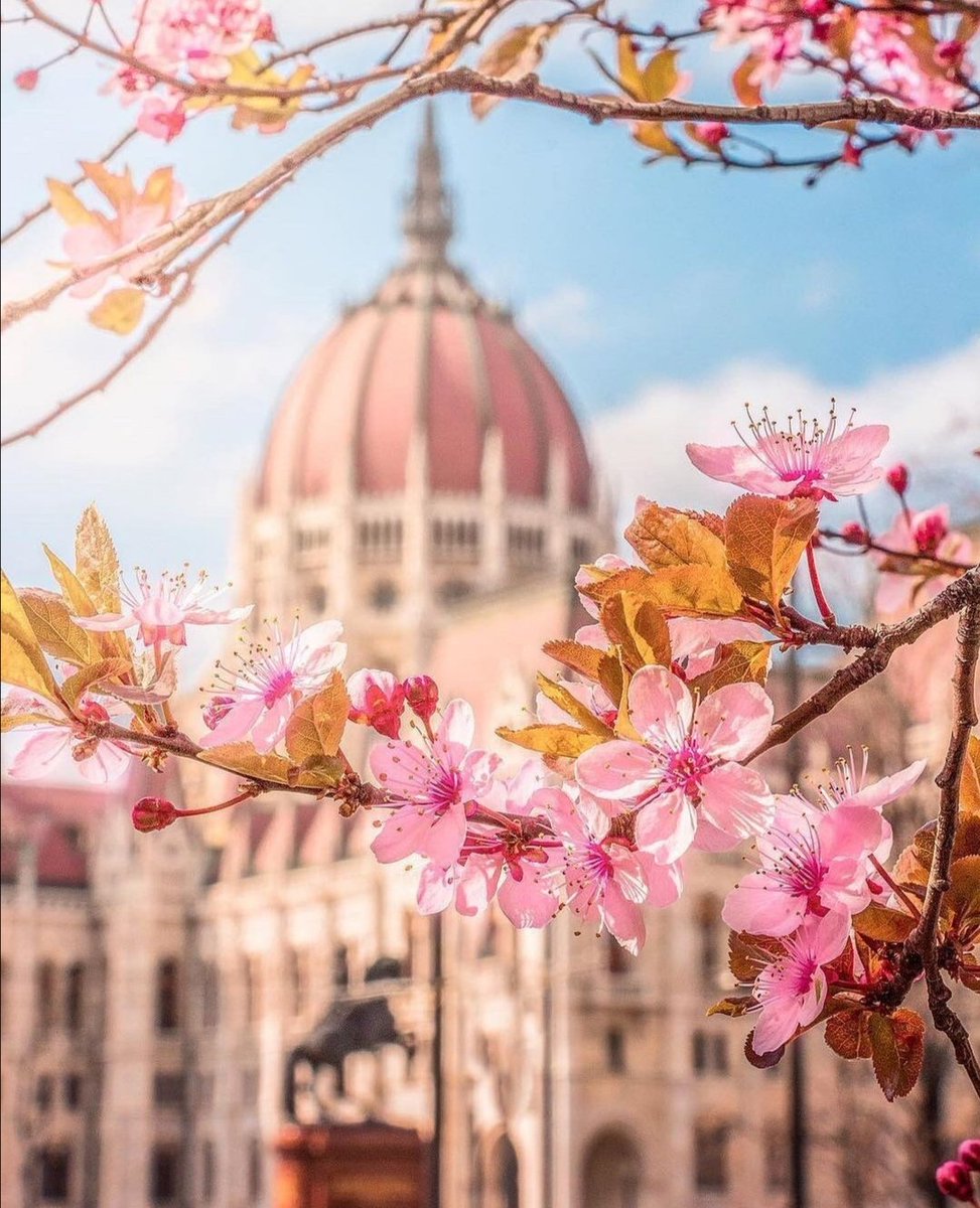 nerdeyapilir's tweet photo. Bahar Aylarının Tadı Nerde Çıkarılır ❓

Bizce yaklaşan bahar aylarının tadı Budapeşte'de çıkarılır.

#spring #travel #travelphotography #travelling #travels #traveltheworld #travelblogger #travelblog #traveller #tatil #holiday #photography #photo #photooftheday #nature https://t.co/4BlS3n54nh