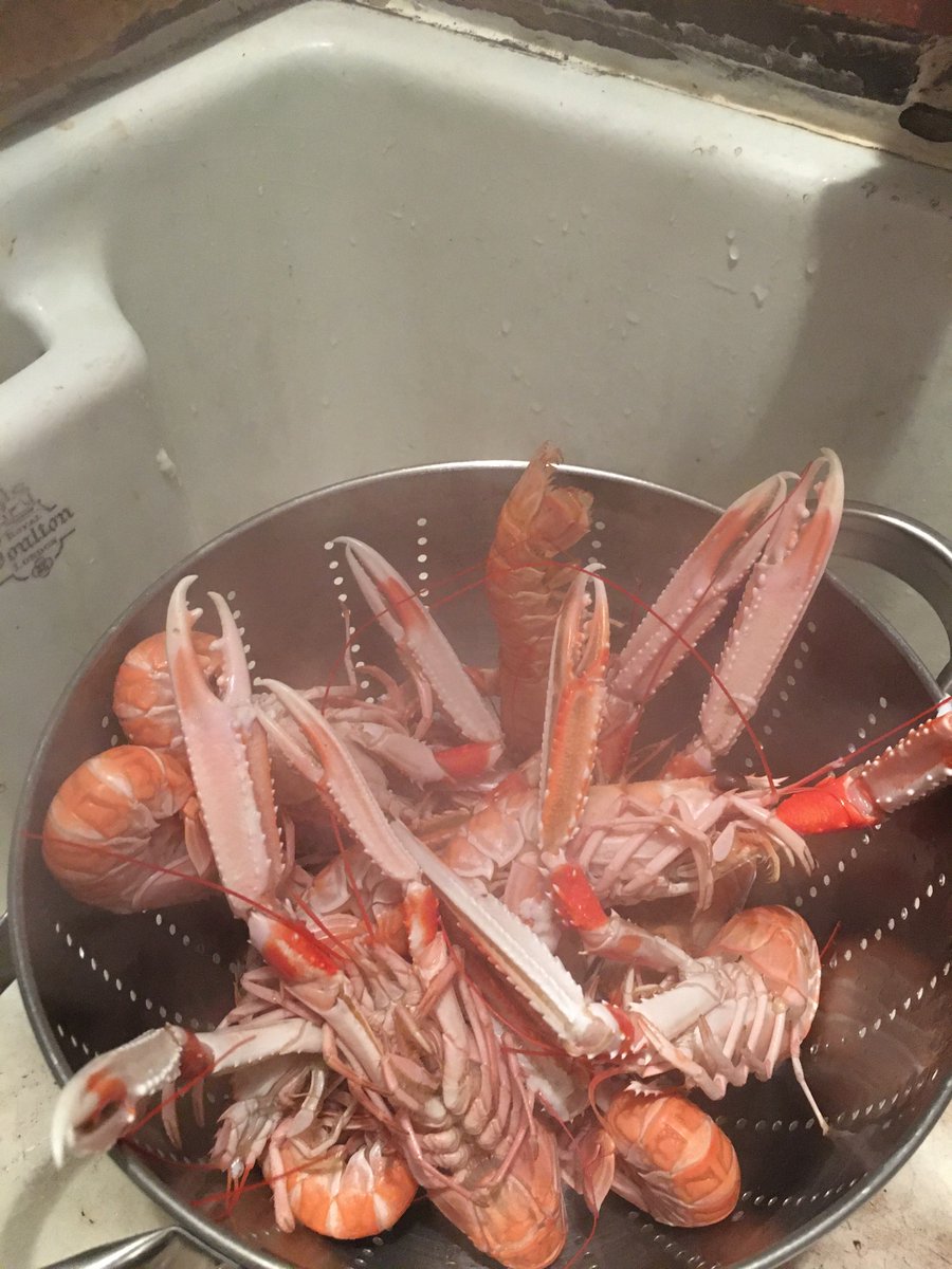 StrengthenDemocracy tweet media