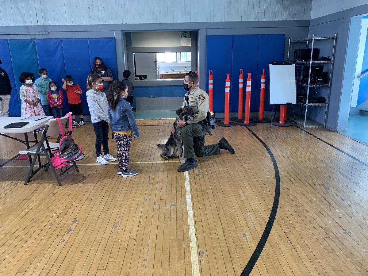 fillmorepd's tweet photo. Today K9 Sam , Fillmore’s newest Deputy, got to meet the children at the Fillmore Boys and Girls Club. As you can tell by the photos, K9 Sam loves the attention and the children loved meeting him.
#YourVCSO #VCSO #K9Sam #VCSOK9 https://t.co/NbALpTsIgC