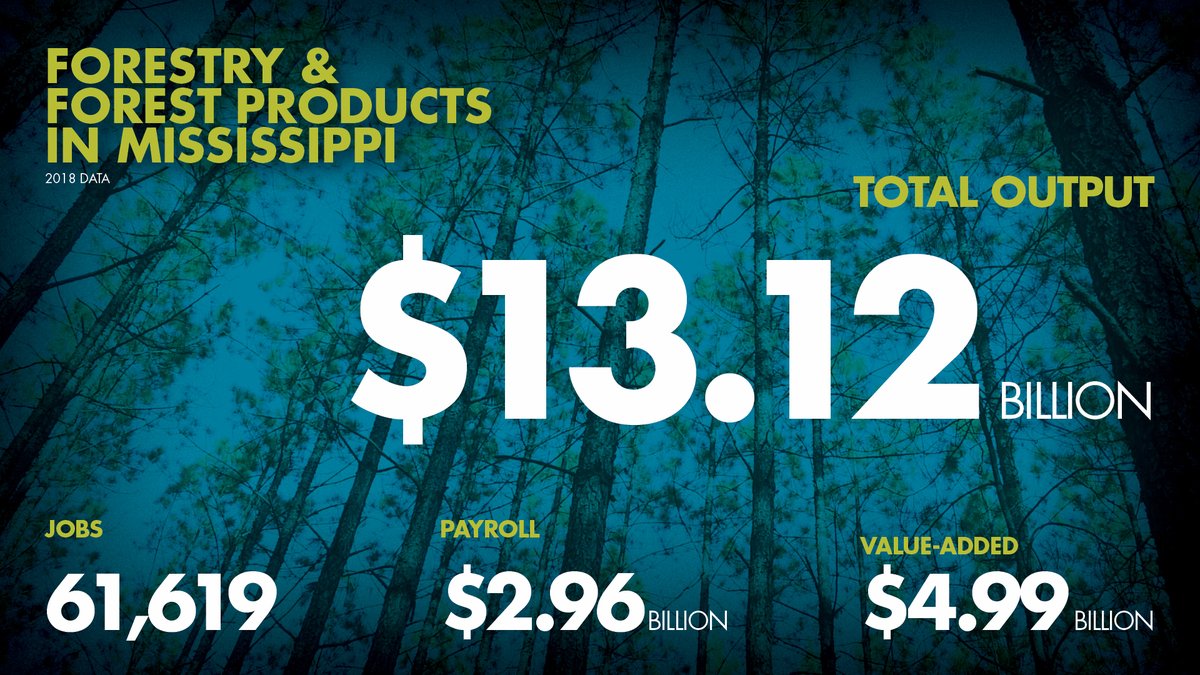 MSU Forest Resources tweet media