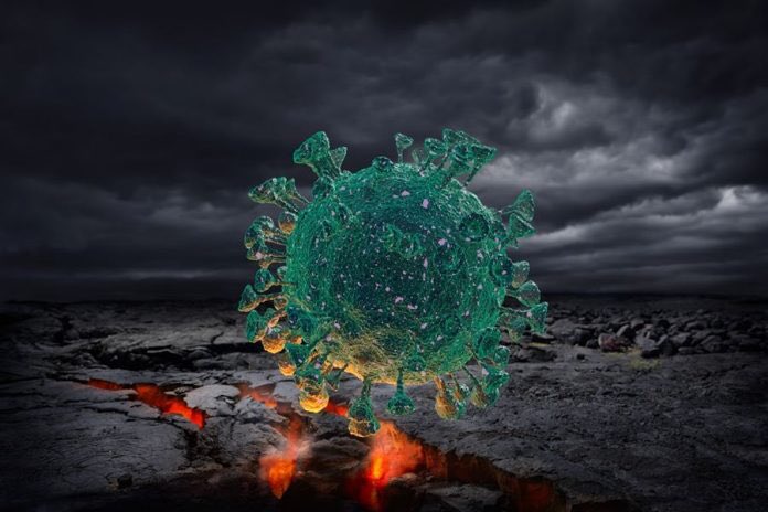 AVEC LE COVID, ILS ONT MONTRÉ LEUR VRAI VISAGE EN FAISANT TOMBER LES MASQUES