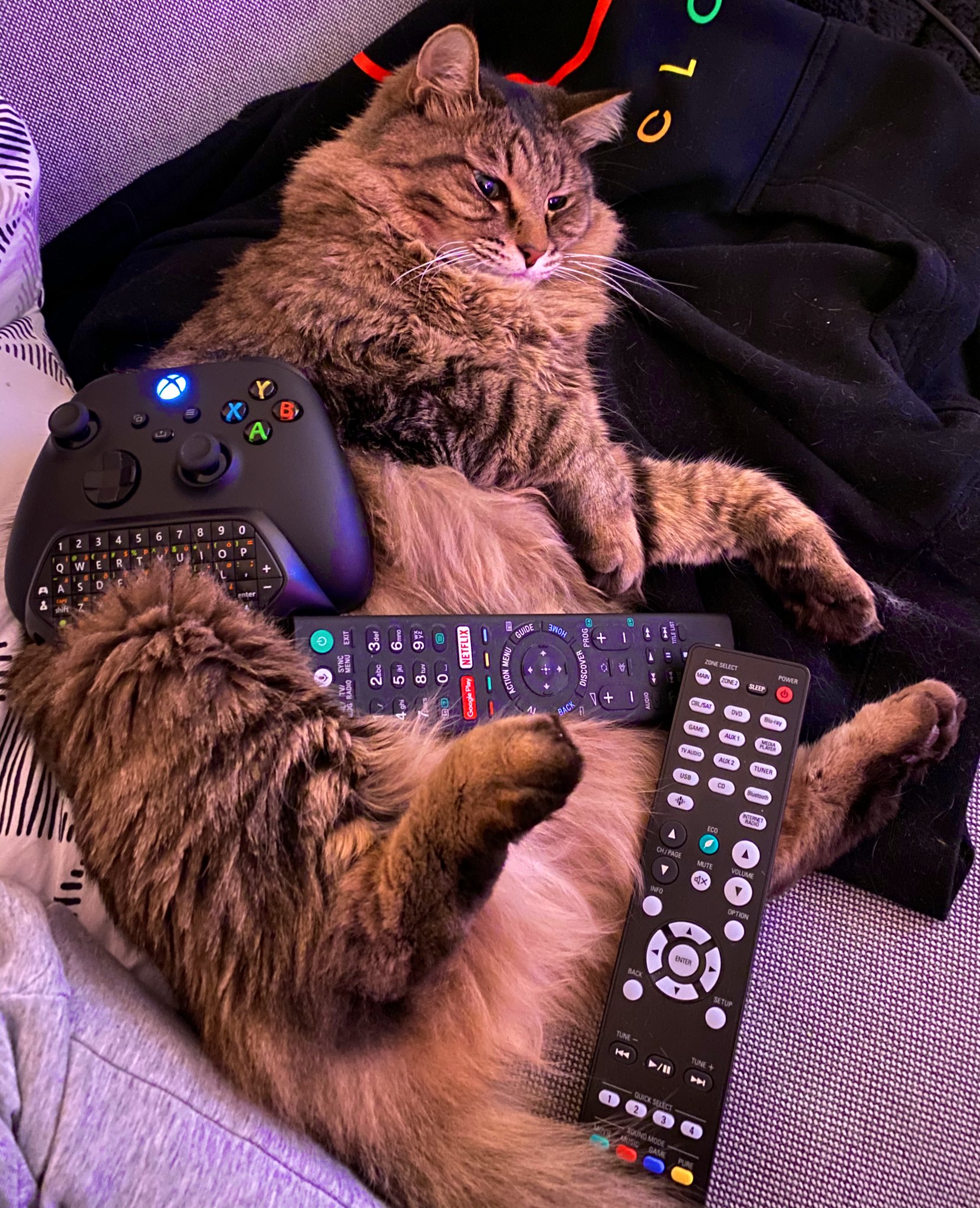 Jacksepticeye on Twitter "Not NOW Dad, i’m gaming! https//t.co