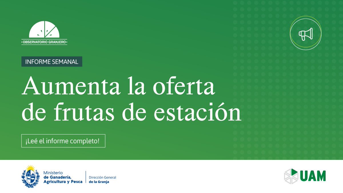 Mercado Modelo tweet media