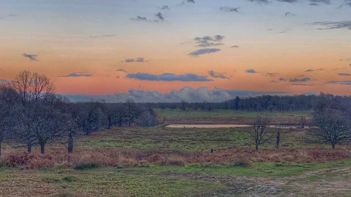 PicsPutney's tweet photo. Hello weekend ! #RichmondPark #staylocal #NaturePhotography #nature #sunset #london #Walk https://t.co/JTJws1M6yH