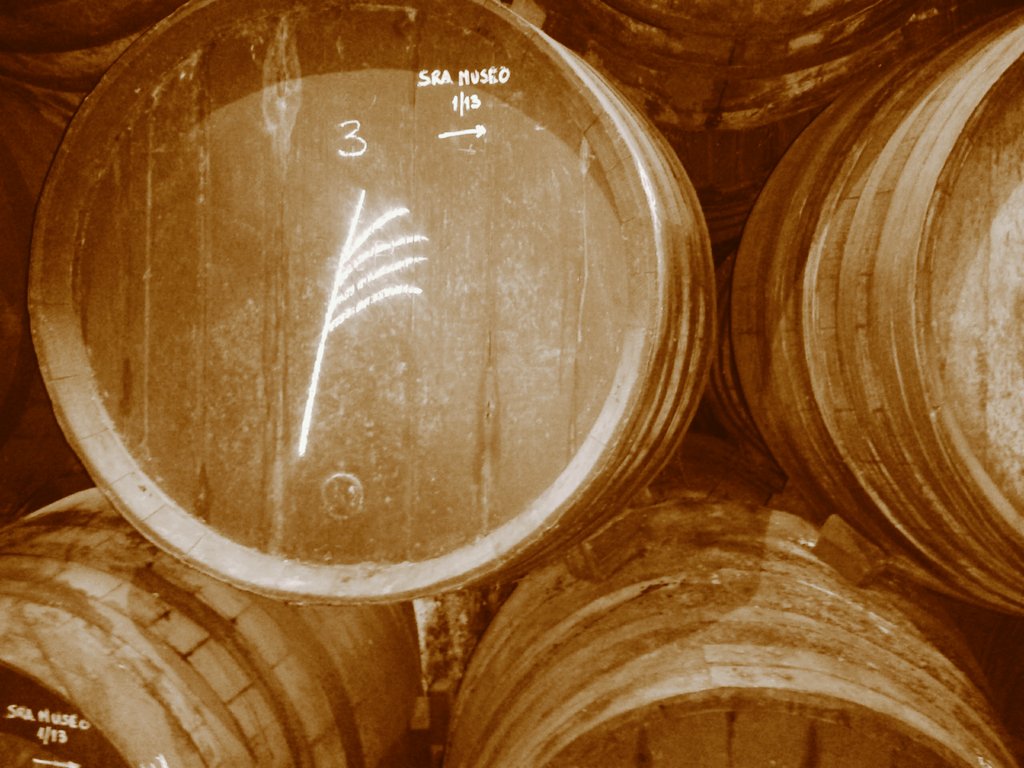 MarceVino tweet media