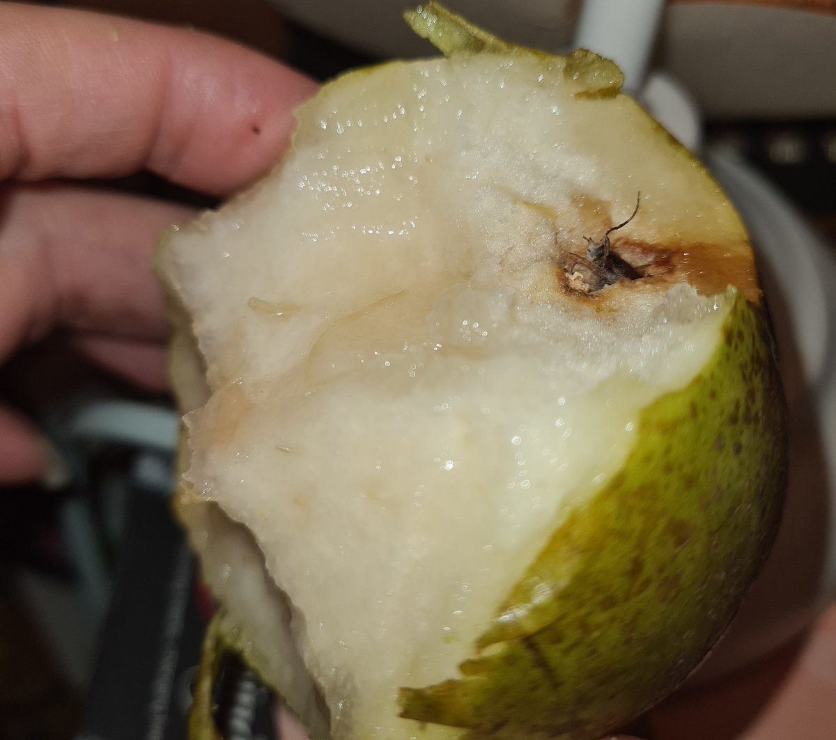 Feeling a little green after biting into my pear from <a href="/asda/">Asda</a> to find this little beast looking back at me! So glad I didn't bite it's little head off! #traumatised #wildlife #unwantedguest #extraprotein