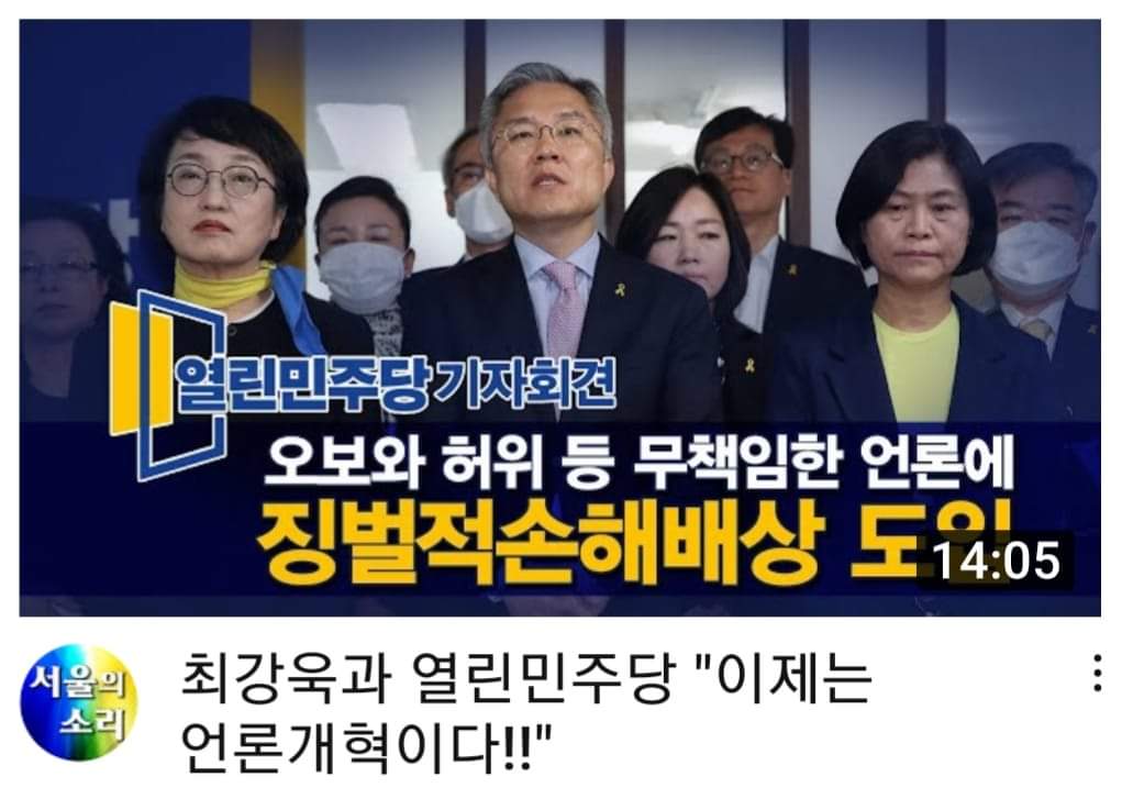 열린민주당, 징벌적 손해배상도입