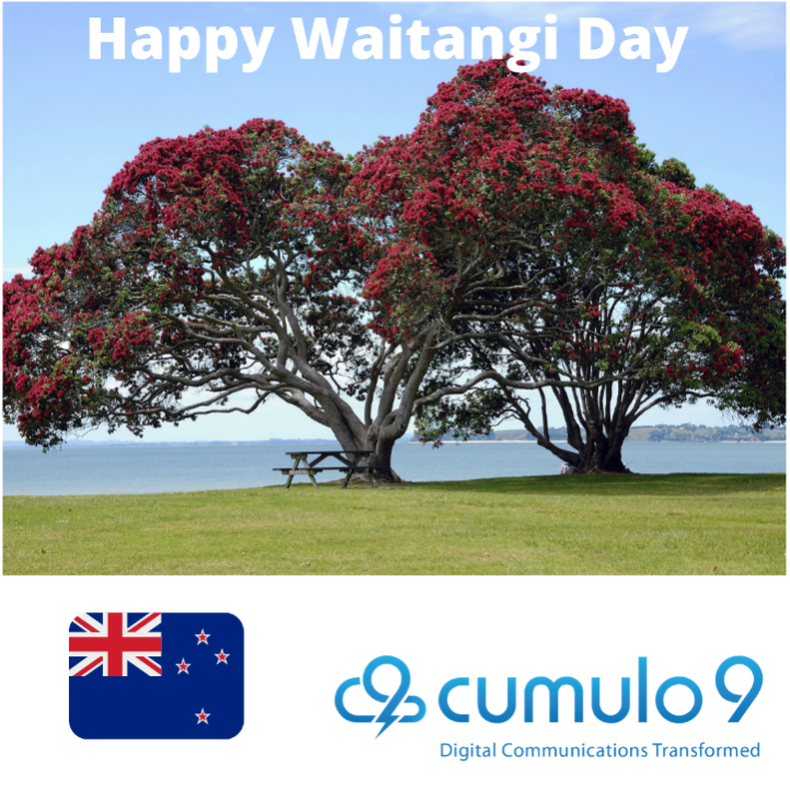 Happy Waitangi Day! How are you enjoying the long weekend? Did you know that over 500 Māori chiefs signed the treaty of Waitangi which is now considered to be New Zealand's founding document? #waitangiday #newzealandhistory