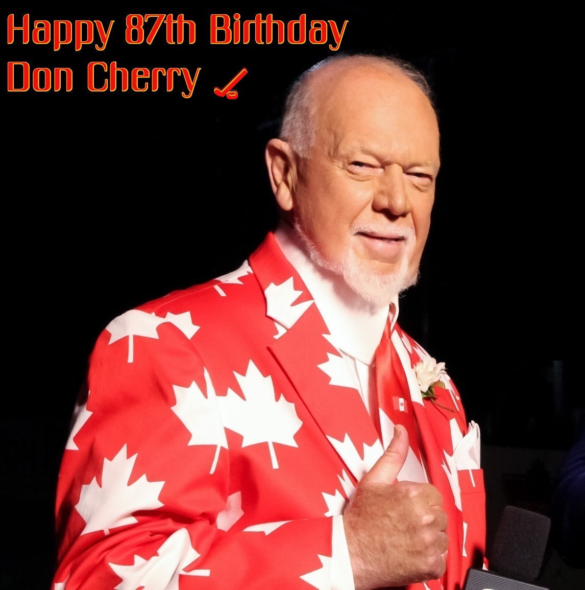  Happy 87th Birthday Don Cherry Miss the Coach 