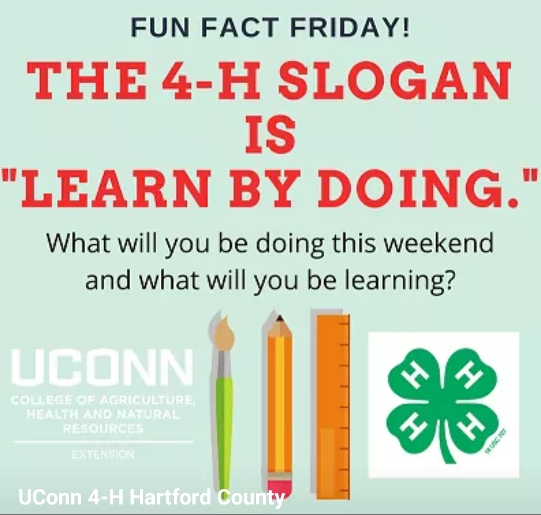 UConnHartford4h's tweet photo. https://t.co/Eavq98BFfJ