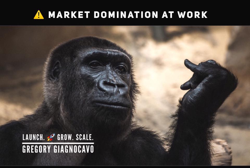 I love to help businesses grow &amp; make profit. King Kong Strategy for Market Domination is my framework based on 30 years of business experience. 
Join my FREE business group where I give away truckloads of value. fb.com/groups/Launch.…. #GROWTH #Entrepreneurship  #Giagnocavo