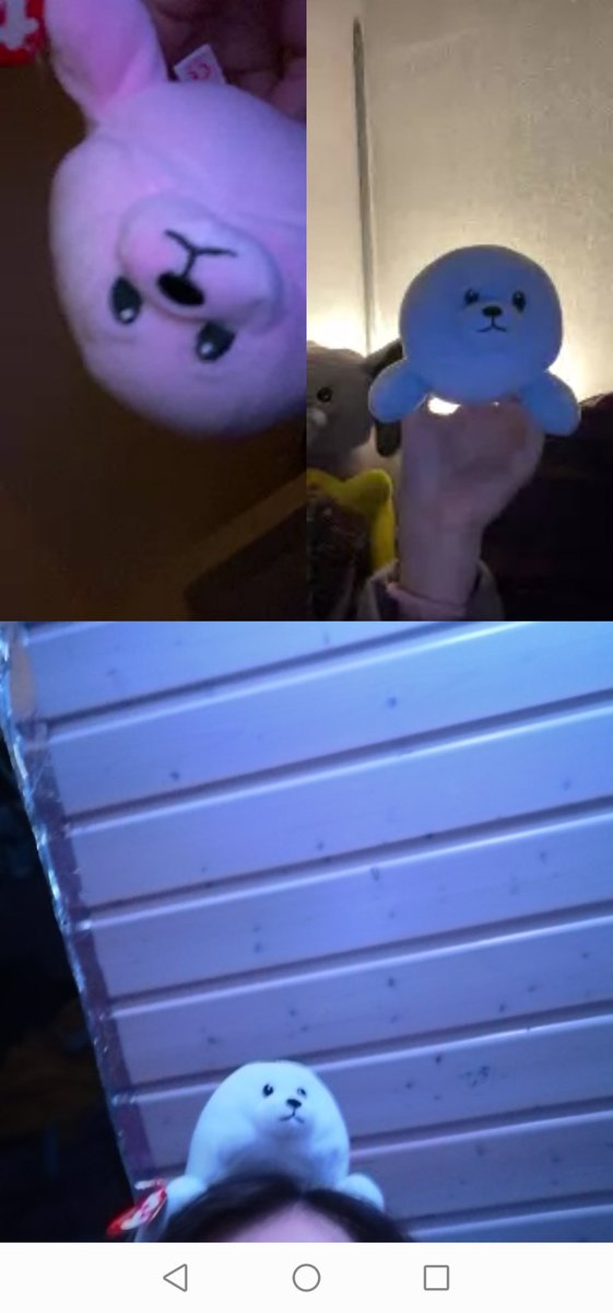 tree racha best trio ever