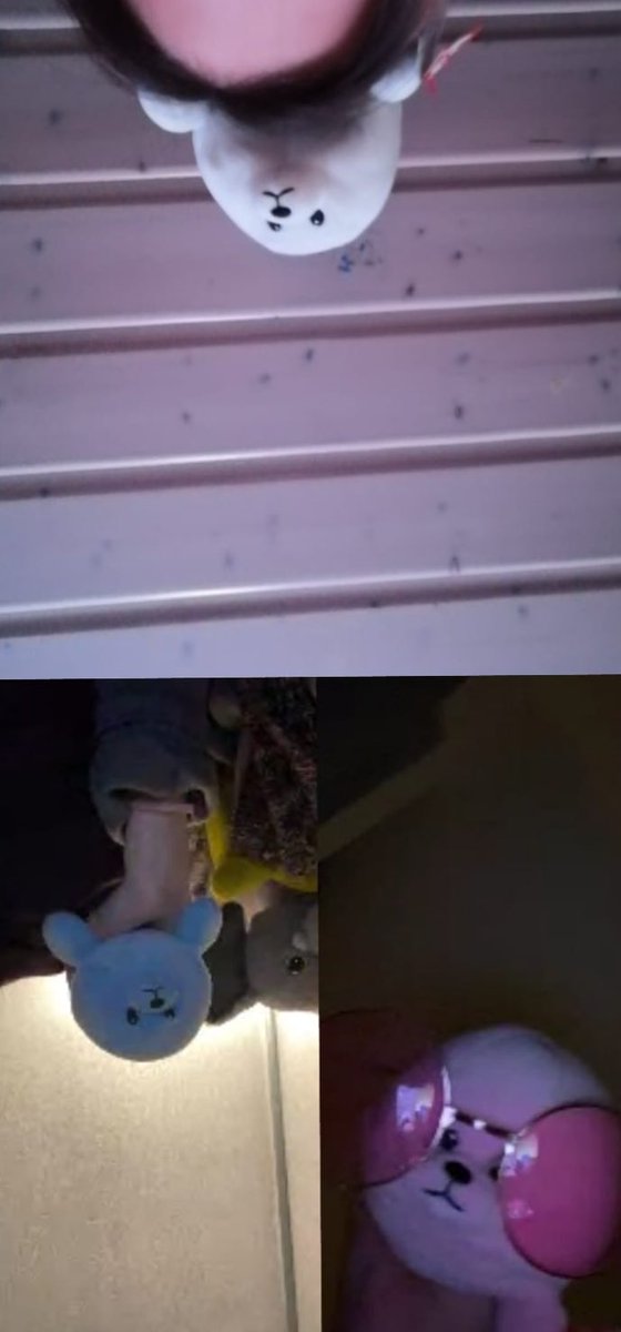 my babies pink shades 🥰🥰🥰🥰
(not @ gül and sali not posting one of her best pics 😒)