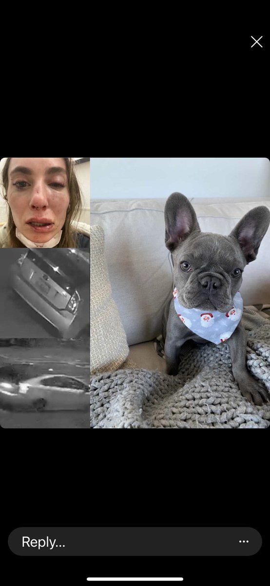 On January 5th Sarah was robbed and beaten at gunpoint & #Chloe was taken in the San Francisco area ..SFPD has video and has released photos of the car.. 8K reward is being offered , no questions asked. They have no real leads and it’s been a month. Please RT #FindChloe