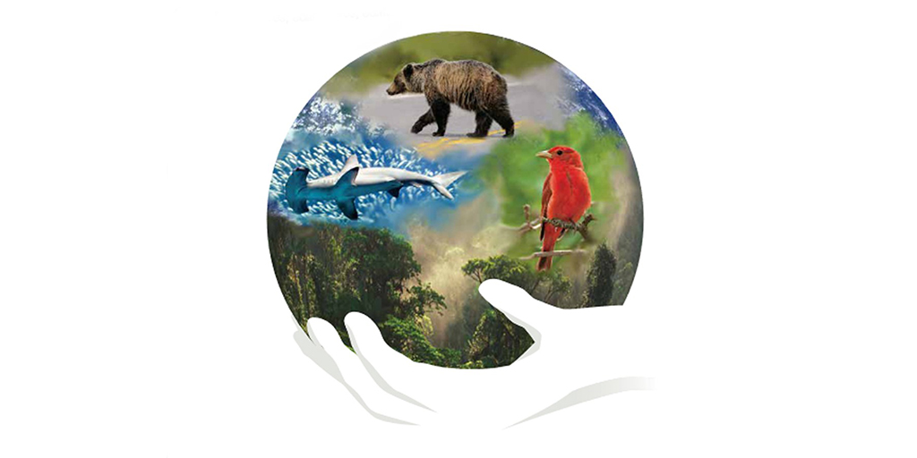Largelandscapes's tweet photo. Save the Date! The official French translation of the IUCN ‘Guidelines for Conserving #Connectivity through Ecological Networks and Corridors' was just released. To celebrate, a live, public presentation will be held online on Wed., Feb. 10 at 1PM EST.
https://t.co/MoGRtEztHS https://t.co/PlJWAcTpfi