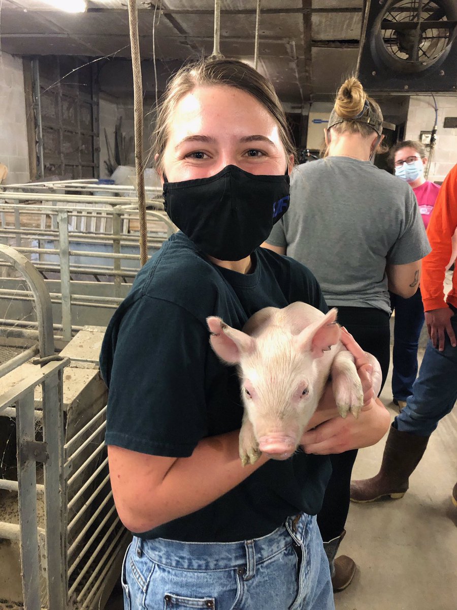 February is Career and Technical Education month! We will be spotlighting past students and their successes throughout the month. Morgan Brown is a pre-vet student majoring in animal science at the University of Florida. Great job Morgan!