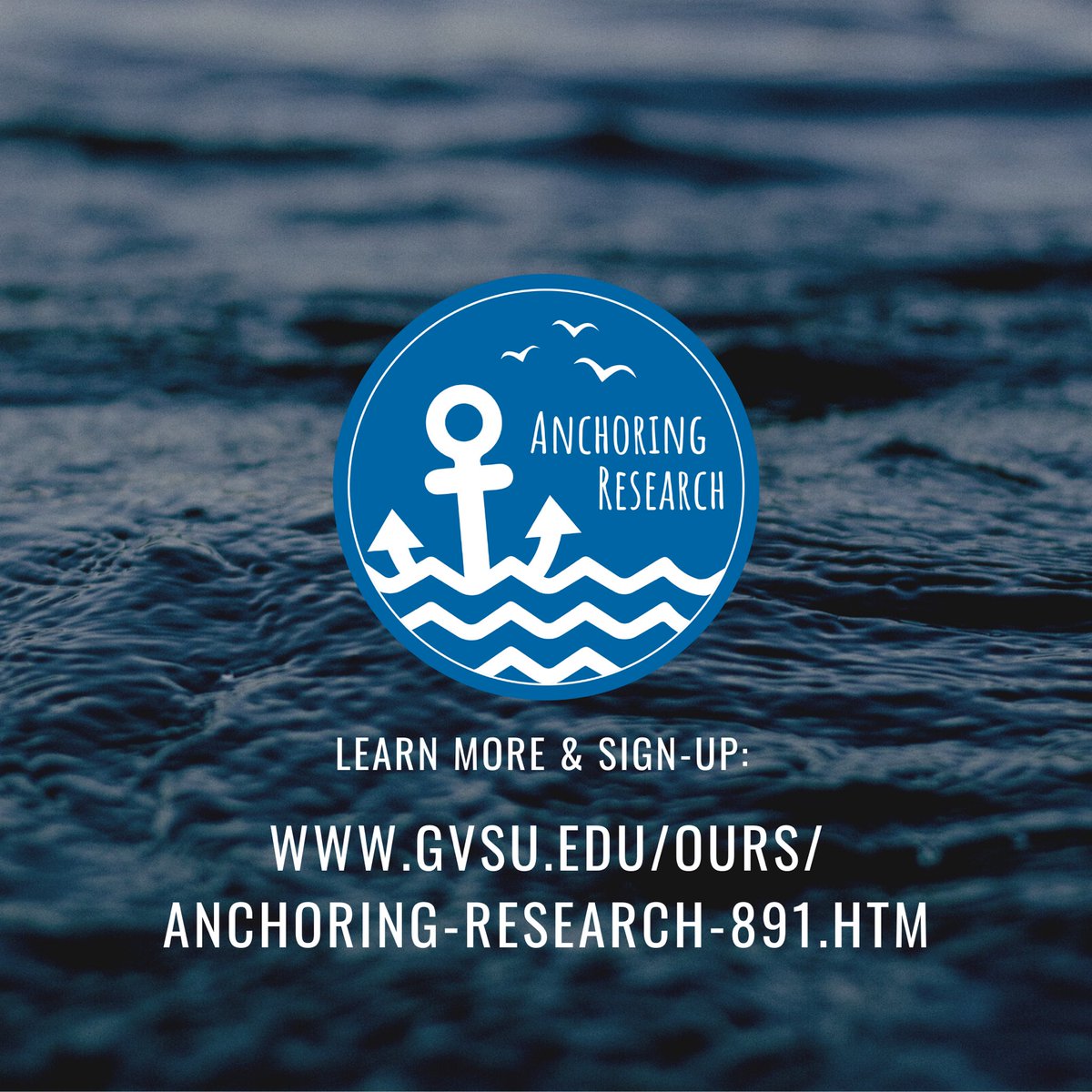 Interested in research?
Already done research, but not sure what to do next? 
Check out the new Anchoring Research Program, setting sail this semester ⚓️⛵️