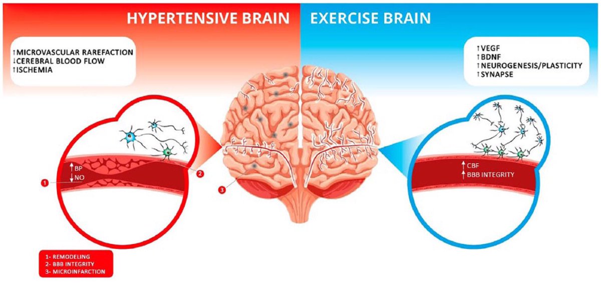 Chris Hattersley tweet media