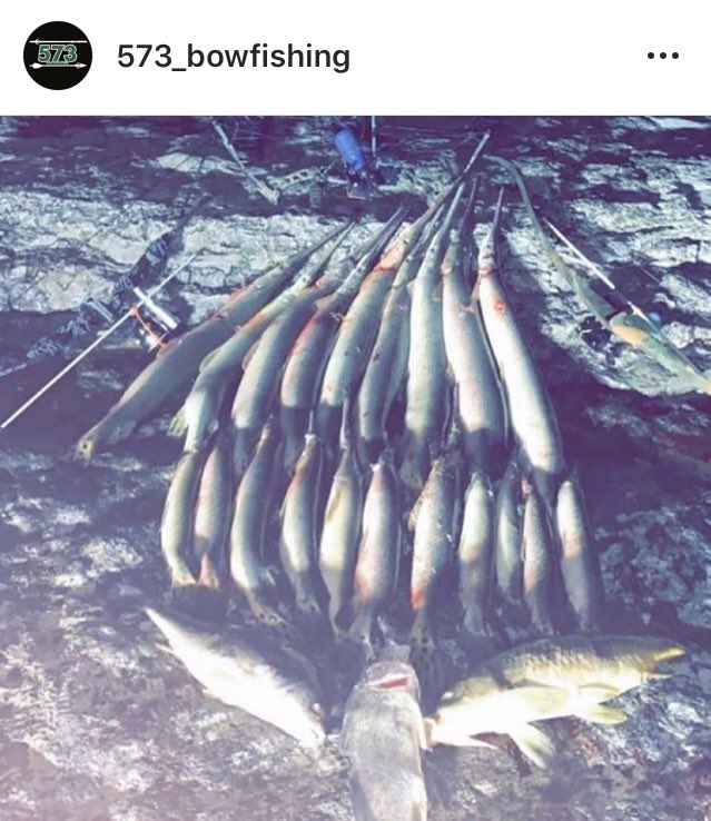 573_bowfishing's tweet photo. Quite a few fish sent in by Instagram’s @ brexten_green Y’all ever have a night like this? https://t.co/6iiNdrBbPx