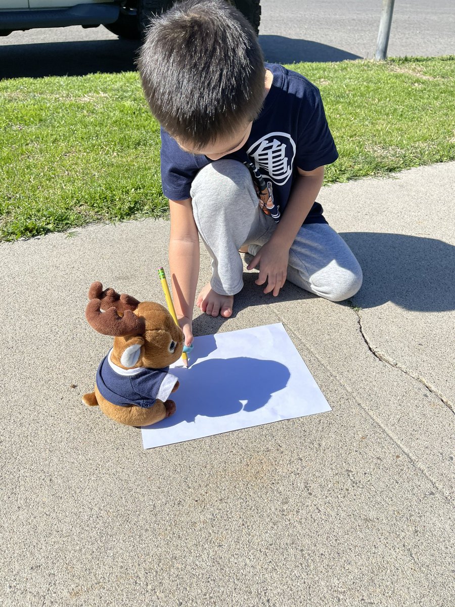 mrs_stodola's tweet photo. After learning about shadows, students used their own toys or objects to make shadows. They also identified the light source (the sun, light through a window, flashlight, lamps, ceiling lights, etc). @ArmstrongPUSD #makingshadows #STEAMchallenge #tkfun https://t.co/Qr9cN6Fyfg