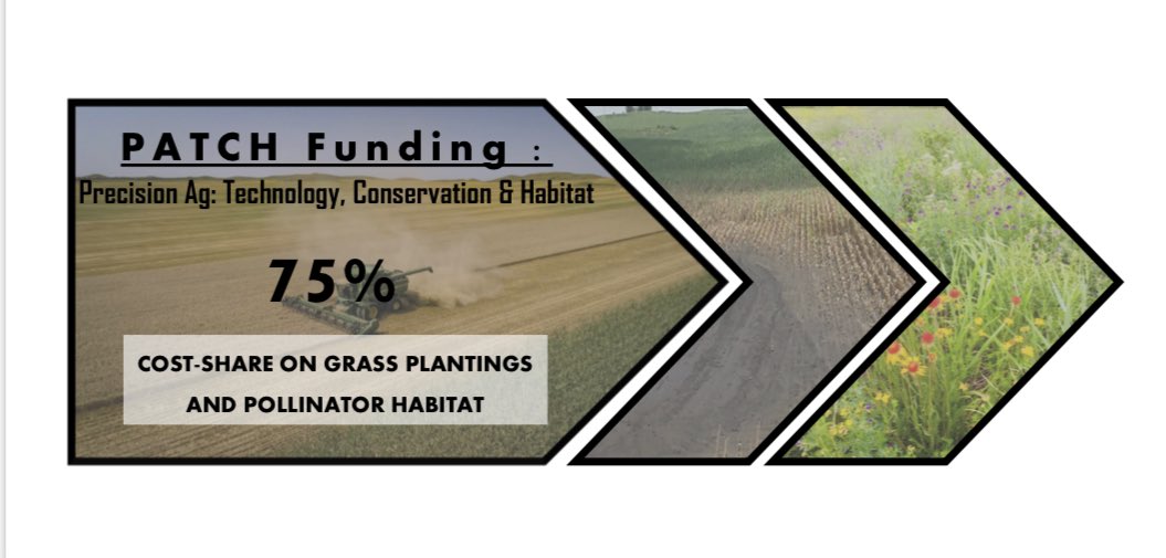 North Dakota Landowners: We’ve got you covered on grass and pollinator plantings! 5 year agreements, no public access required. @nodakpf <a href="/NDBountiful/">Austin Lang</a> <a href="/Joey_Rasco/">Joey Rasco</a>