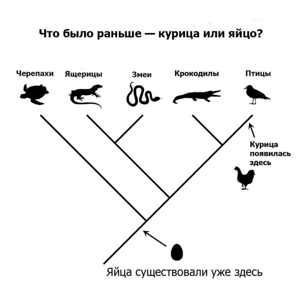 drunktwi's tweet image. Долгожданный ответ