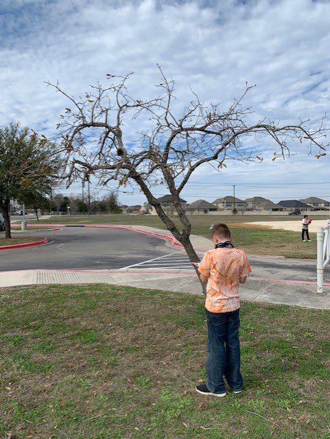 FreiheitLibrary's tweet photo. Fourth grade pencils move.
Trees inspire us to write.
Poems abound here.
@FEScomal @mrs__kemper @MissStolle @MrsELandrum @Ms_KrWhite #ReadComal https://t.co/5vJLnaUsUK