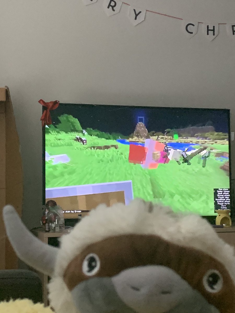 Sarah Schultz tweet media