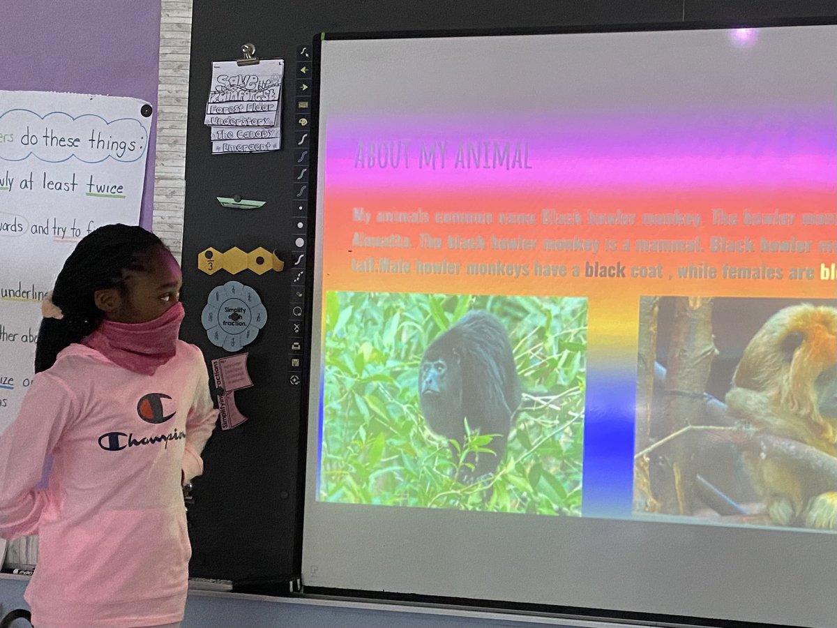 MsRakowski's tweet photo. Rainforest animal researchers sharing their knowledge through Google Slides presentations.
Great work 502! @MsPurkis @EMorichesMS @EastMorichesSD https://t.co/346g0zsjSv