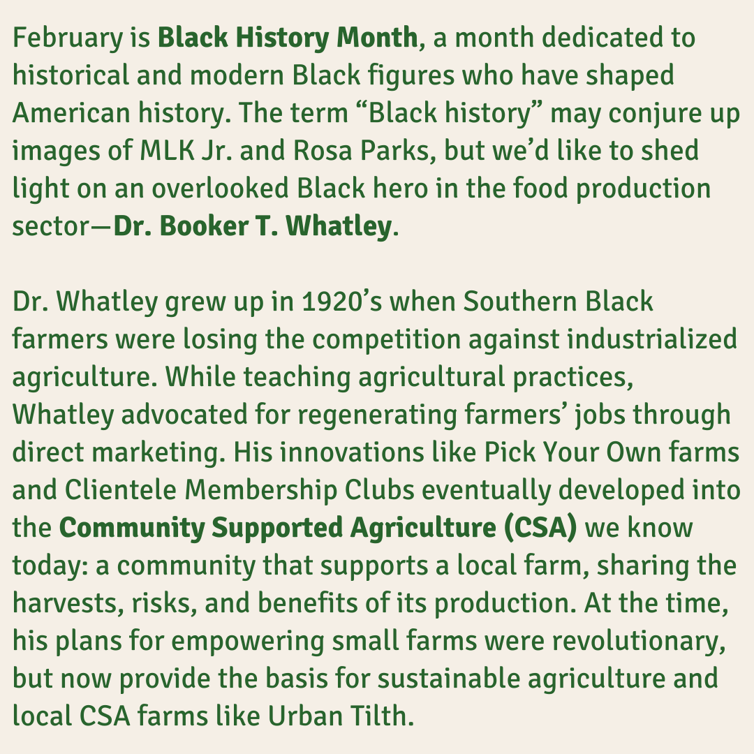 FoodShift's tweet photo. 𝗙𝗢𝗢𝗗 𝗝𝗨𝗦𝗧𝗜𝗖𝗘 𝗙𝗥𝗜𝗗𝗔𝗬 
The concept of CSA is credited to two white men's models in 1986, but Dr. Booker T. Whatley published his principles much earlier in the 1960s. The tides are changing as activists revive the legacies of overlooked Black farmers and leaders https://t.co/HNfZ1psMVE